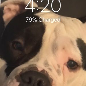 Meet your Posher, Shane